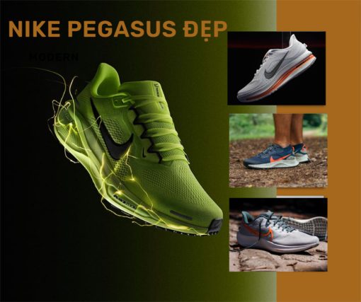 top-phoi-mau-giay-chay-bo-nike-pegasus-dep-dan-dang-mua-nhat-hien-nay